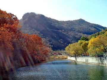 新澳天天开奖资料大全旅游团，郑板桥画的价格